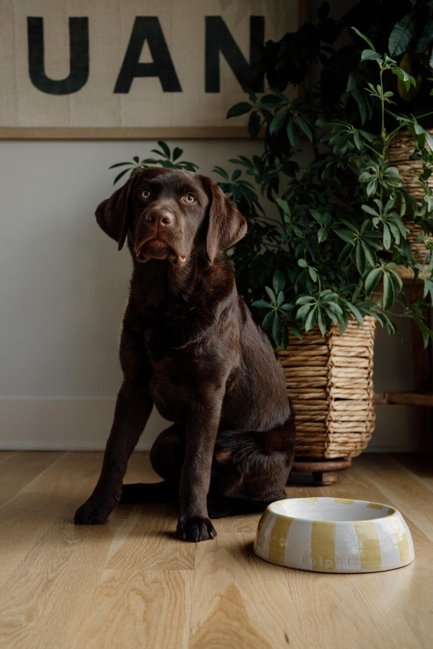 Personalized Bowl $68